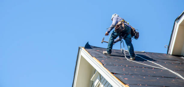 Best Local Roofing Companies  in Nesquehoning, PA